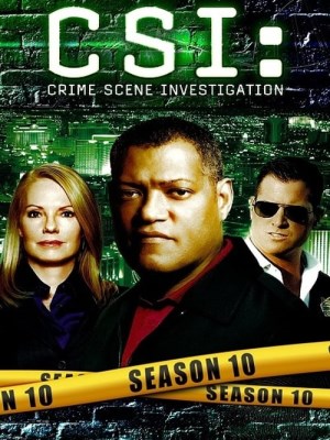 CSI: Đội Điều Tra Hiện Trường (Mùa 10)