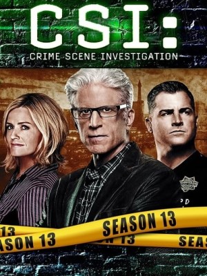 CSI: Đội Điều Tra Hiện Trường (Mùa 13)